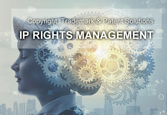 IP RIGHTS MANAGEMENT 智慧財產權管理